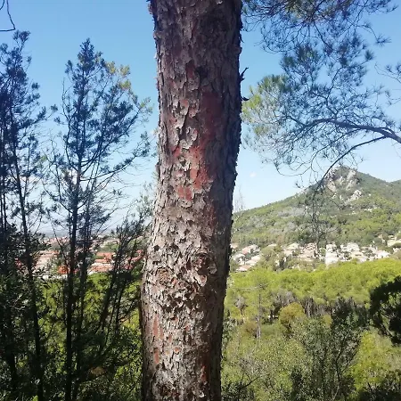 Casa Vacanze 